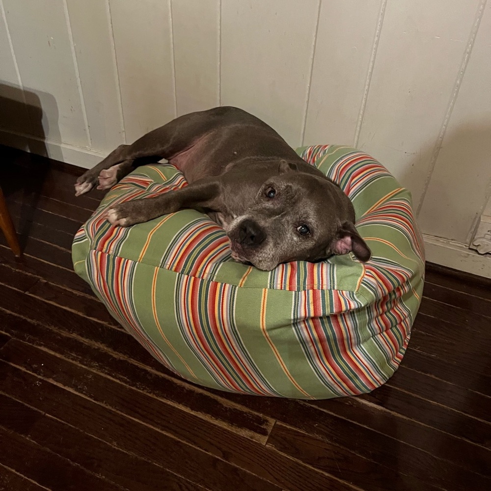 Meet your Posher, John